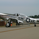 Illustration for article titled This Gorgeous Warbird Is More Phoenix Than Mustang
